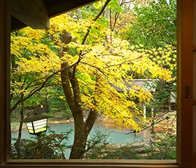 Four Seasons Photo Gallery