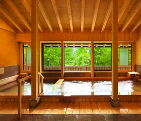 Onsen (hot spring) Ooyu (indoor bath)