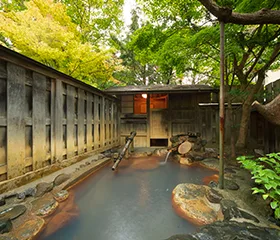 Onsen (hot spring) Private bath
